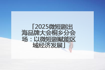 2025微短剧出海品牌大会桐乡分会场：以微短剧赋能区域经济发展