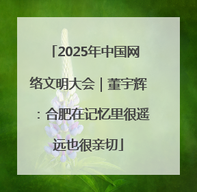 2025年中国网络文明大会｜董宇辉：合肥在记忆里很遥远也很亲切