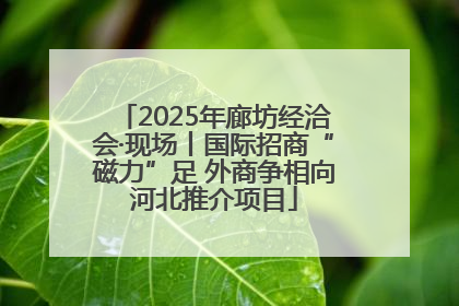 2025年廊坊经洽会·现场丨国际招商“磁力”足 外商争相向河北推介项目