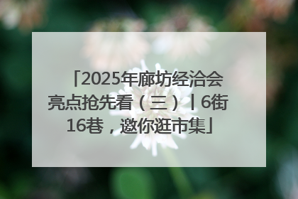 2025年廊坊经洽会亮点抢先看（三）丨6街16巷，邀你逛市集
