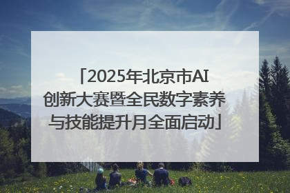 2025年北京市AI创新大赛暨全民数字素养与技能提升月全面启动
