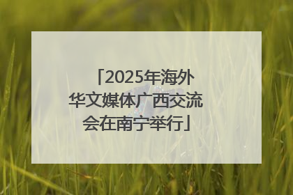 2025年海外华文媒体广西交流会在南宁举行