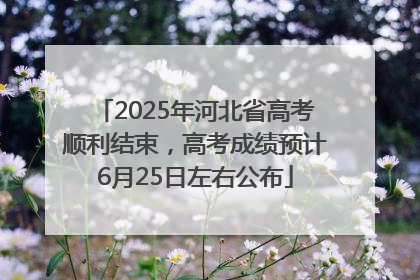 2025年河北省高考顺利结束，高考成绩预计6月25日左右公布