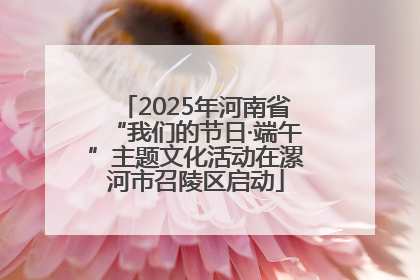 2025年河南省“我们的节日·端午”主题文化活动在漯河市召陵区启动