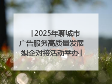 2025年聊城市广告服务高质量发展媒企对接活动举办