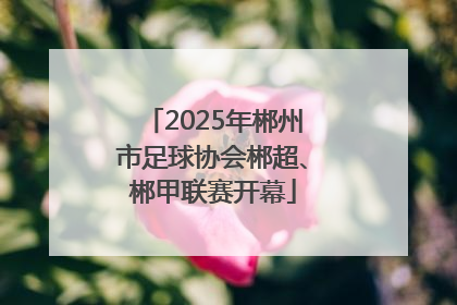 2025年郴州市足球协会郴超、郴甲联赛开幕