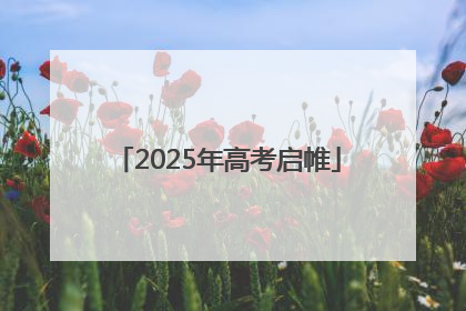 2025年高考启帷