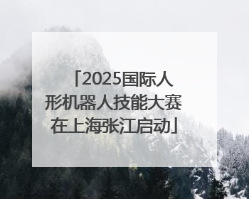 2025国际人形机器人技能大赛在上海张江启动