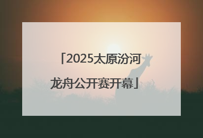 2025太原汾河龙舟公开赛开幕