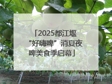 2025都江堰“好嗨啤”消夏夜啤美食季启幕
