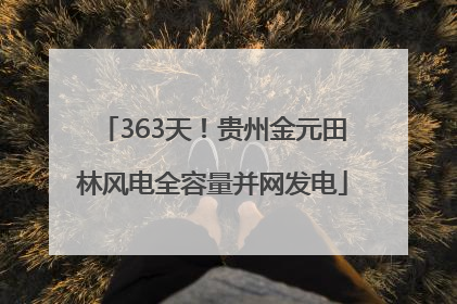 363天！贵州金元田林风电全容量并网发电