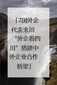 7国外企代表来川 “外企看四川”搭建中外企业合作桥梁
