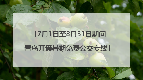 7月1日至8月31日期间 青岛开通暑期免费公交专线