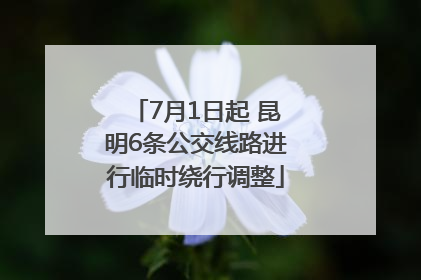 7月1日起 昆明6条公交线路进行临时绕行调整