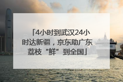 4小时到武汉24小时达新疆，京东助广东荔枝“鲜”到全国