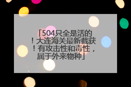 504只全是活的！大连海关最新截获！有攻击性和毒性，属于外来物种
