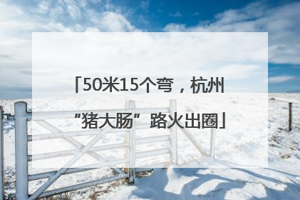 50米15个弯，杭州“猪大肠”路火出圈