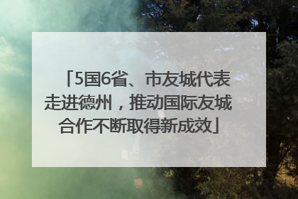 5国6省、市友城代表走进德州，推动国际友城合作不断取得新成效