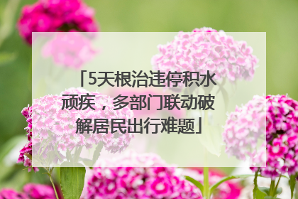 5天根治违停积水顽疾，多部门联动破解居民出行难题