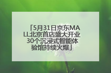 5月31日京东MALL北京首店盛大开业 30个沉浸式智能体验馆持续火爆