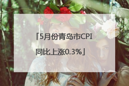 5月份青岛市CPI同比上涨0.3%