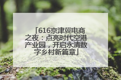 616京津冀电商之夜：点亮时代空港产业园，开启永清数字乡村新篇章