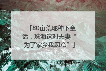 80亩荒地种下童话,珠海这对夫妻“为了家乡我愿意”