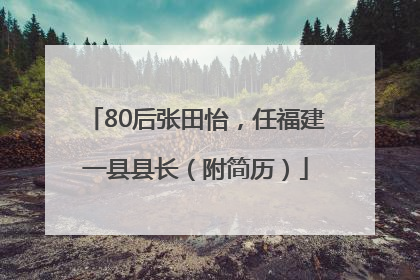 80后张田怡，任福建一县县长（附简历）