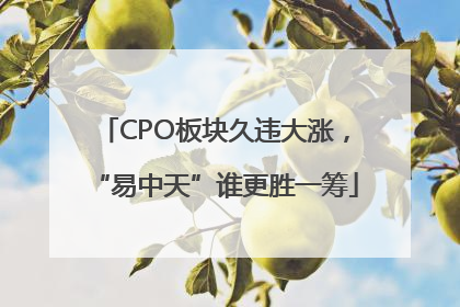 CPO板块久违大涨，“易中天”谁更胜一筹