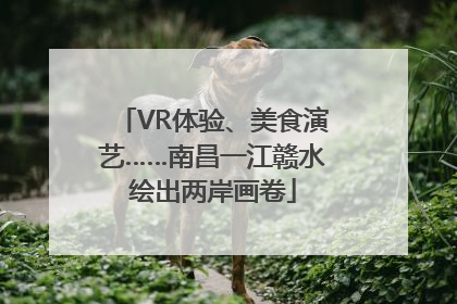 VR体验、美食演艺……南昌一江赣水绘出两岸画卷